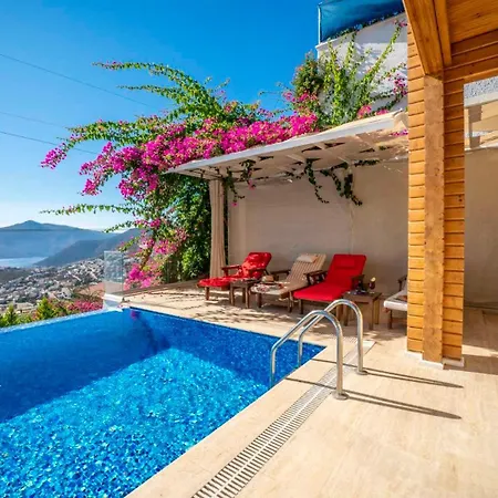 Eco Karanfil * Kalkan